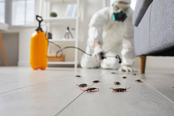 Post-Treatment Bed Bug Interceptor Monitoring in Waterflow