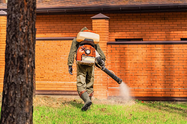 Bed Bug Clearance Verification and Documentation in Waterflow